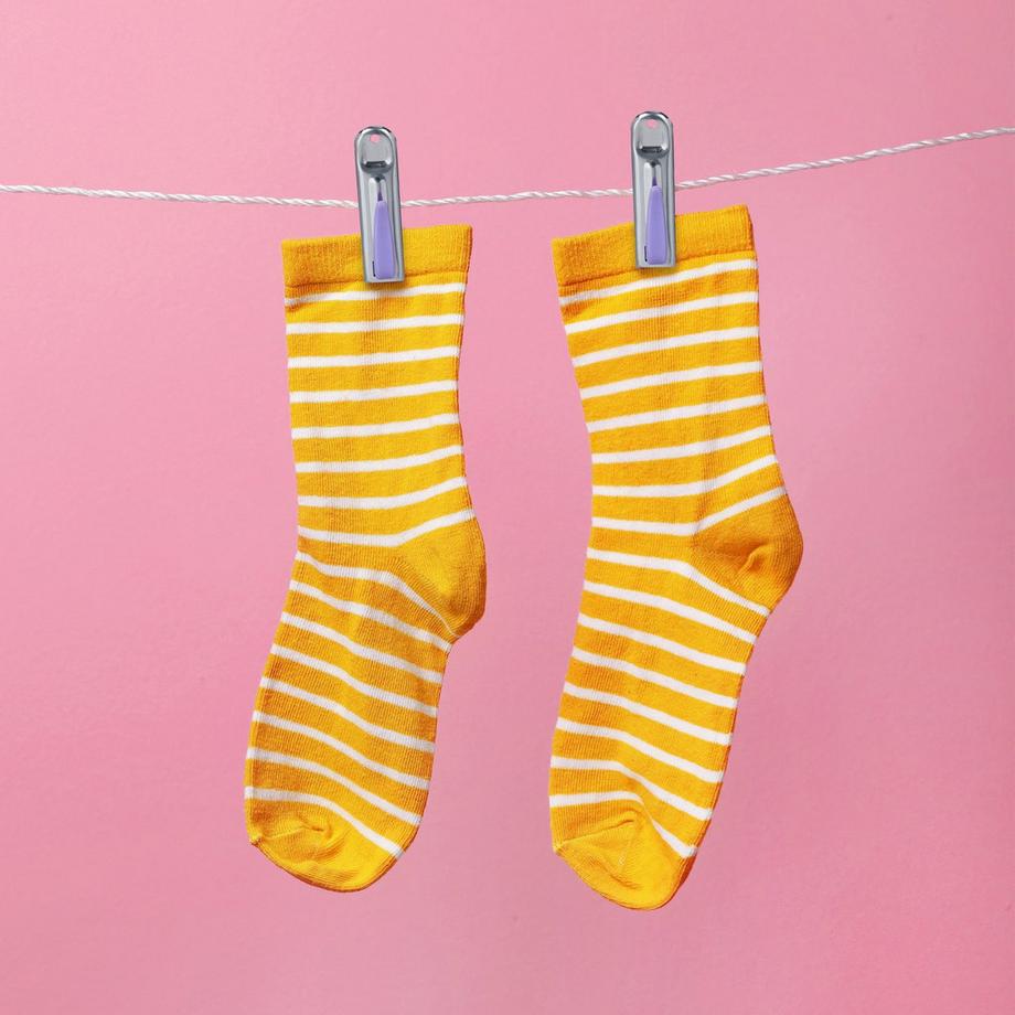 B2X 80 pinces à linge en acier inoxydable  