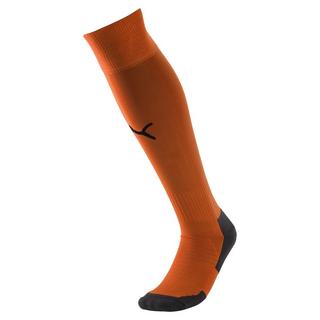 PUMA  Socken Liga Core 