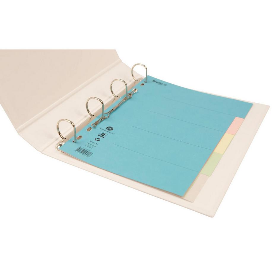 Biella BIELLA Register Karton farbig A4 461405.00 5-teilig, blanko  
