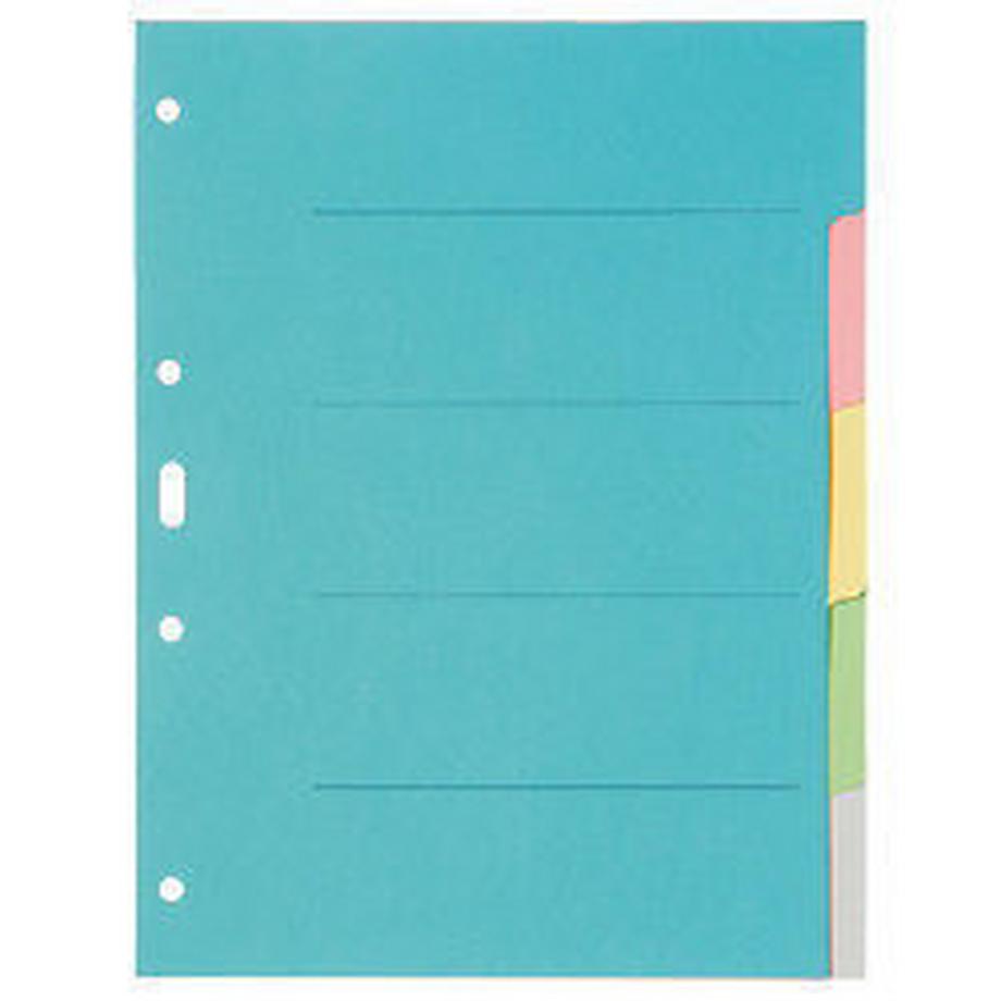 Biella BIELLA Register Karton farbig A4 461405.00 5-teilig, blanko  