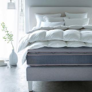 AM.PM Alezan Piumino  