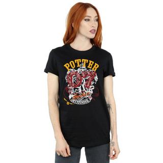 Harry Potter Gryffindor Seeker T-Shirt  