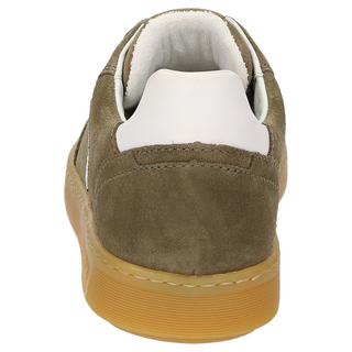 Sioux  Sneaker Tedroso-708 