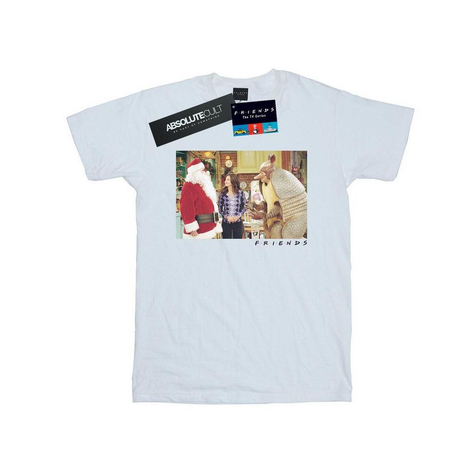 Friends The Holiday Armadillo T-Shirt  