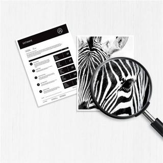 HEWLETT PACKARD  HP Toner-Modul 415X magenta W2033X CLJ Pro M454/MFP M479 6000 S. 