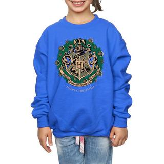 Harry Potter  Sweatshirt 