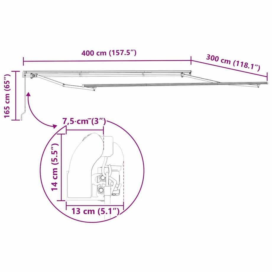VidaXL Auvent rétractable polyester  