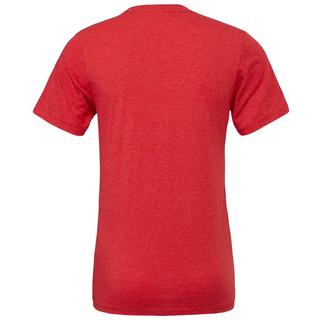 Bella + Canvas Erwachsenen TriBlend T-Shirt  