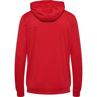 Hummel Authentic Polyester Full Zip Hoodie  