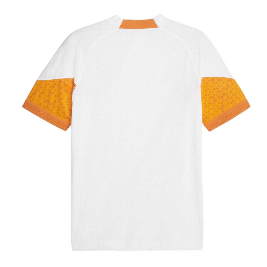 PUMA  Maillot Entraînement Motiftyle Manchester City Fc 23/24 