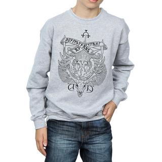 Harry Potter  Durmstrang Institute Sweatshirt 