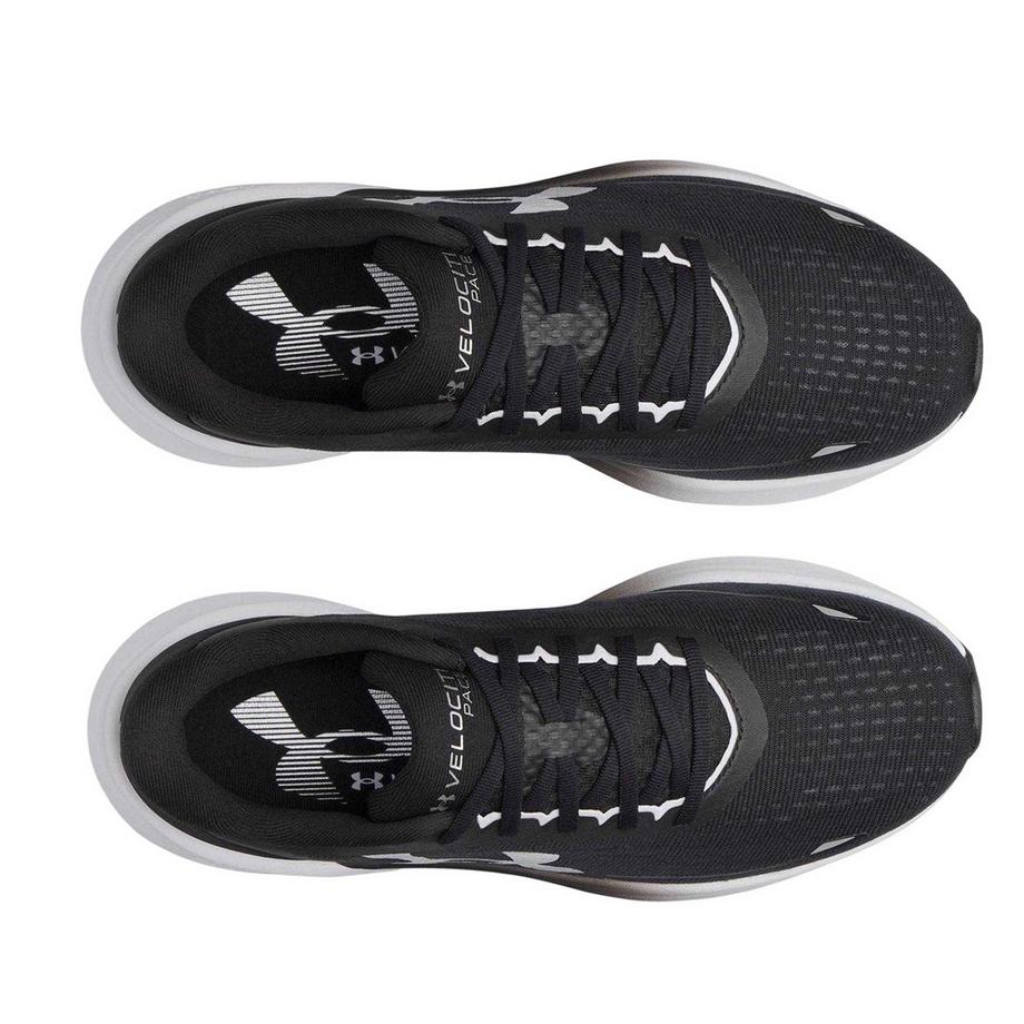UNDER ARMOUR Scarpe da running Velociti Pace  