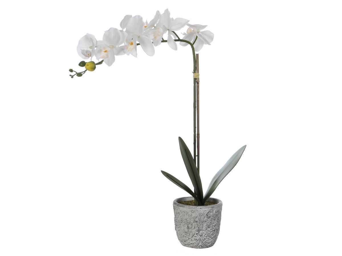 Vente-unique Pianta artificiale orchidea H.60 con vaso in Cemento Bianco - FLORA  