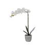 Vente-unique Plante artificielle orchidée avec pot en ciment - H.60  - blanc - FLORA  