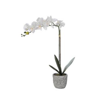 Plante artificielle orchidée avec pot en ciment - H.60  - blanc - FLORA