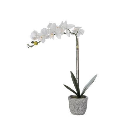 Vente-unique Kunstpflanze Orchidee mit Zementtopf - H. 60 - Weiß - FLORA  