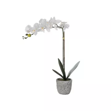 Pianta artificiale orchidea H.60 con vaso in Cemento Bianco - FLORA