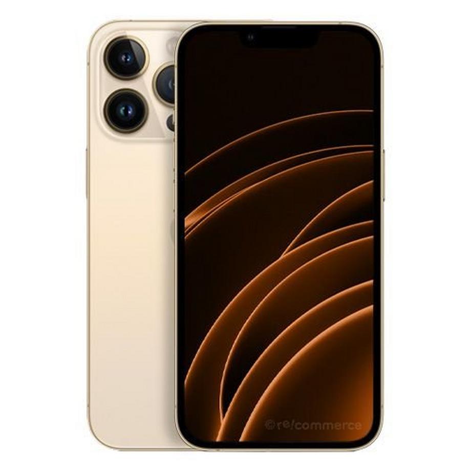 Refurbished iPhone 13 Pro Max 1 TB - Sehr guter Zustand