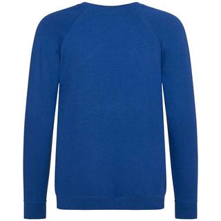 AWDis  Academy Sweatshirt  Raglanärmel 