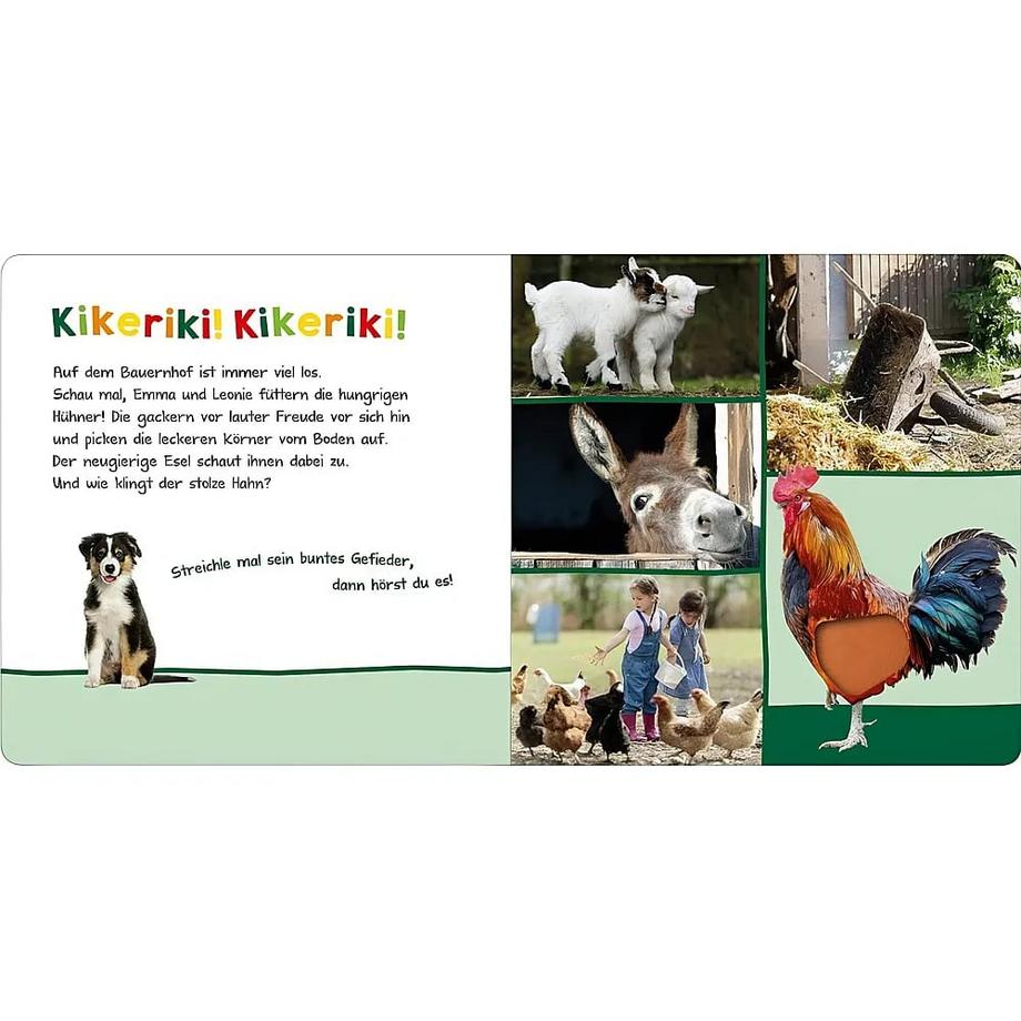 Hör mal rein, wer kann das sein? – Auf dem Bauernhof Kein Autor Copertina rigida 