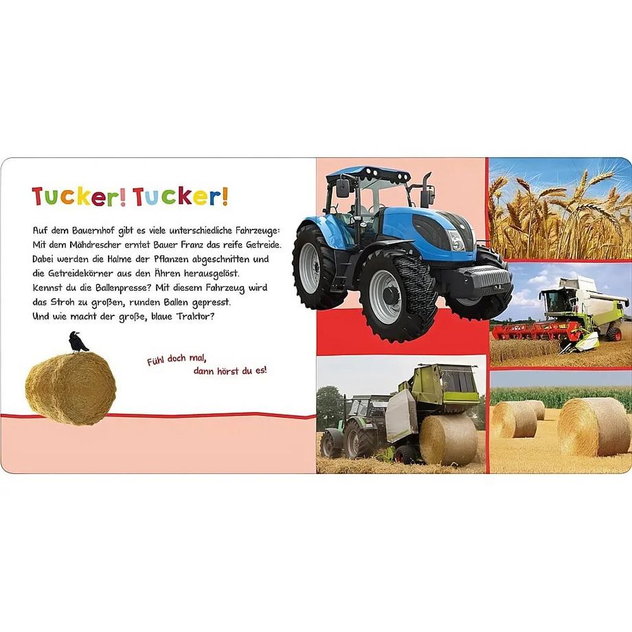 Hör mal rein, wer kann das sein? – Auf dem Bauernhof Kein Autor Copertina rigida 