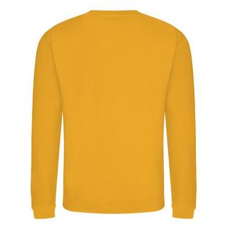 AWDis Sweatshirt Col Rond  