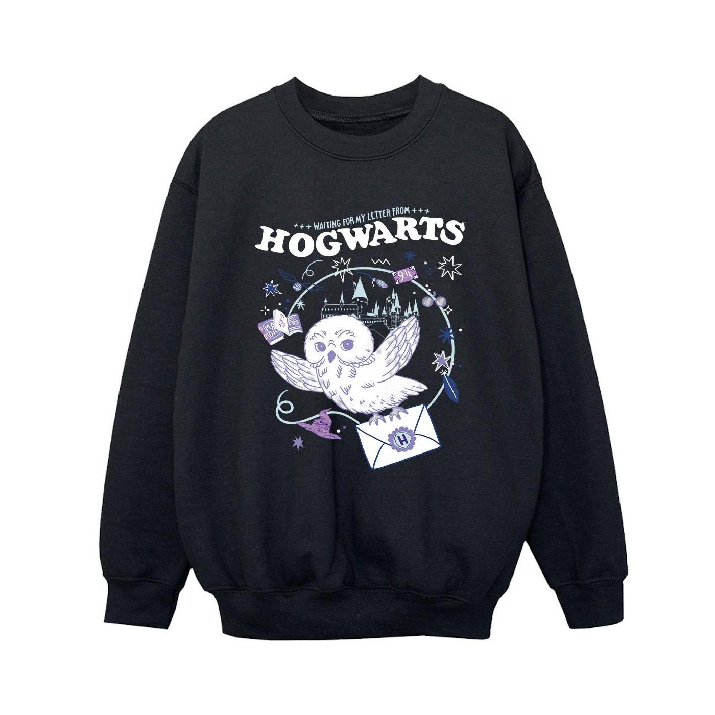 Harry Potter  Letter From Hogwarts Sweatshirt 