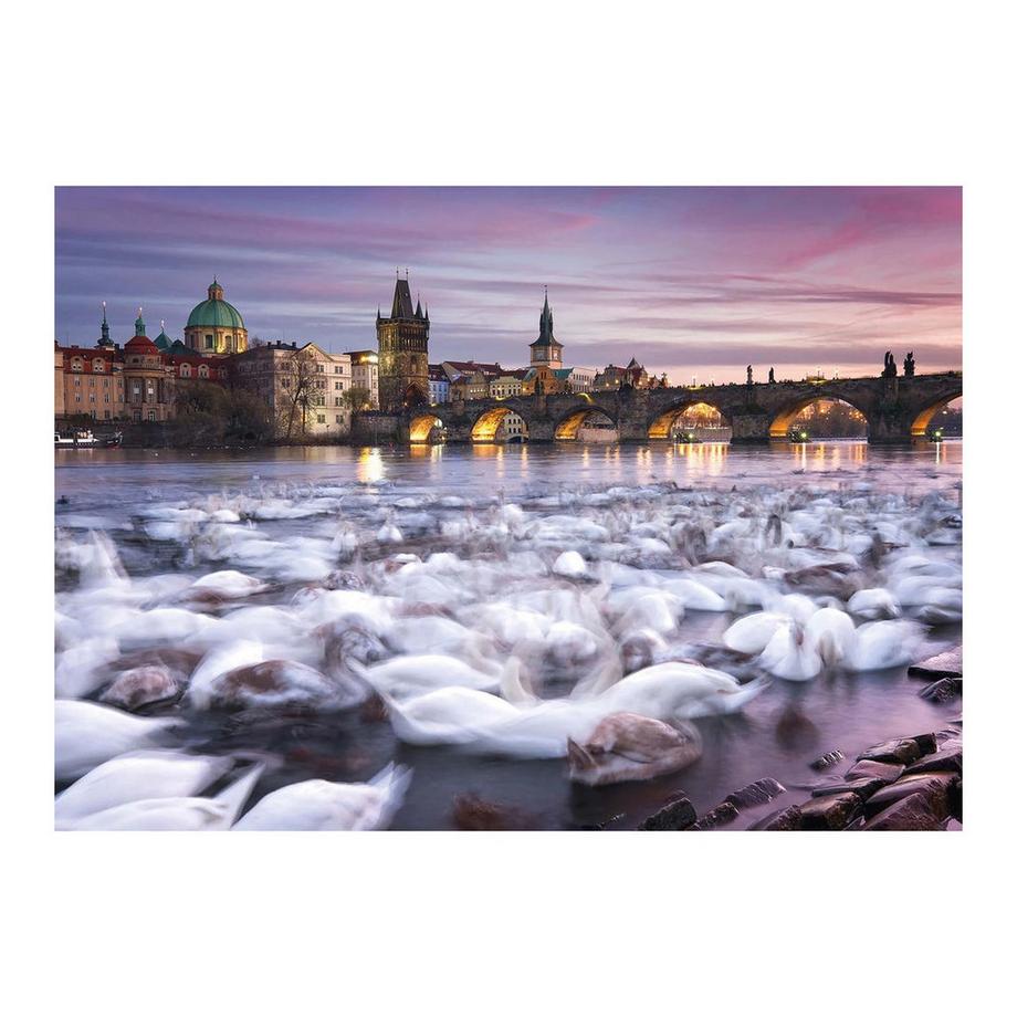 Schmidt  Puzzle Prag Schwäne (1000Teile) 