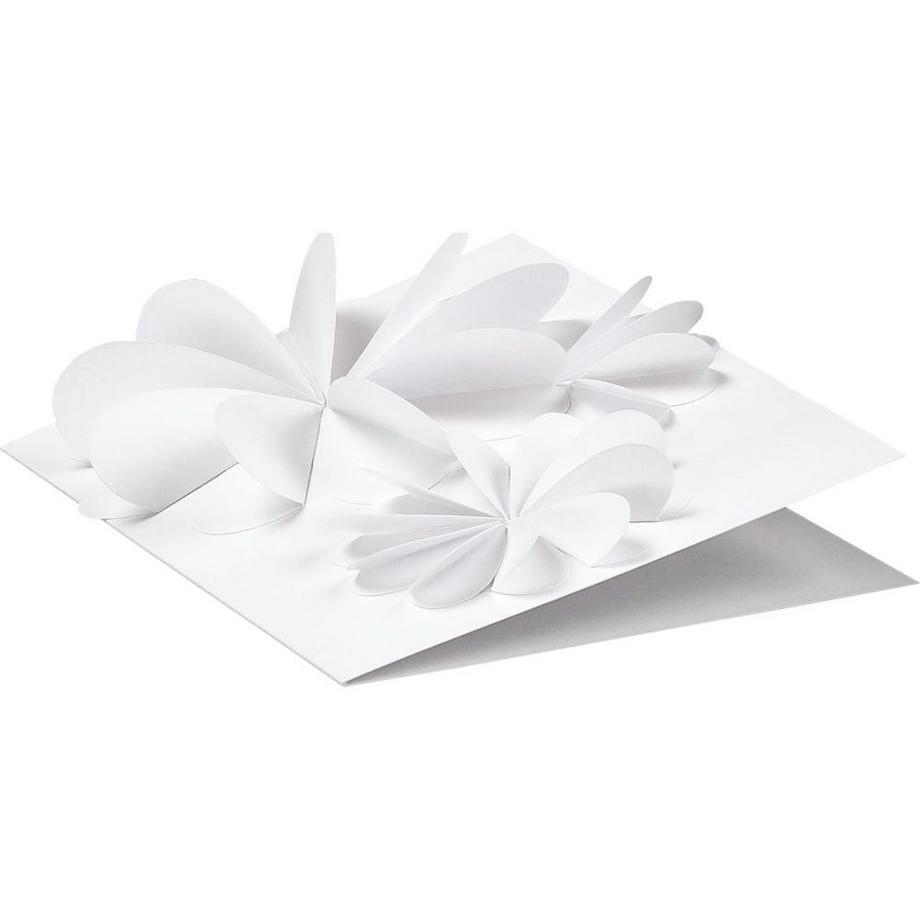 Folia carton photo  