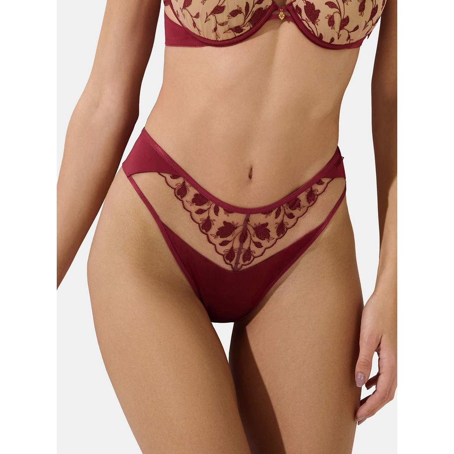 Brasiliano basso Gloriosa