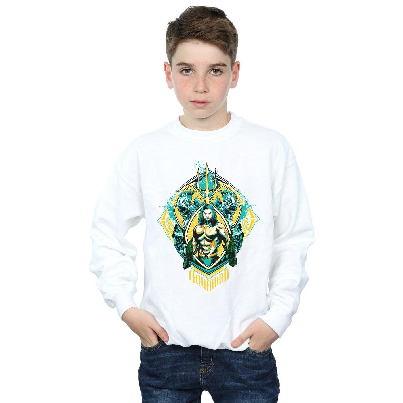 DC COMICS  Sweatshirt 