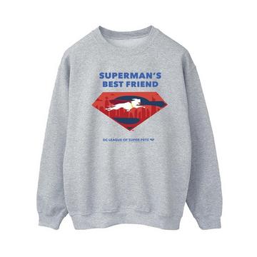 DCs DC League Of SuperPets Best Friend Sweatshirt