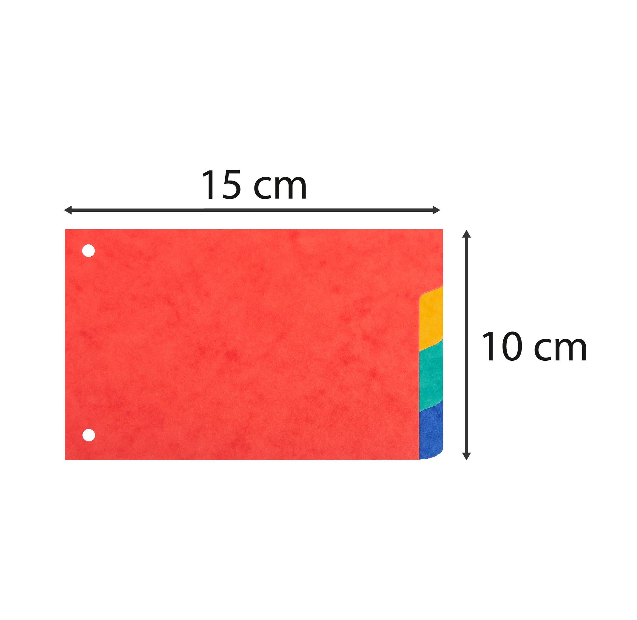 Exacompta Intercalaires pour fiches bristol carte lustrée 225g/m2 4 positions - 100x150mm - x 10  