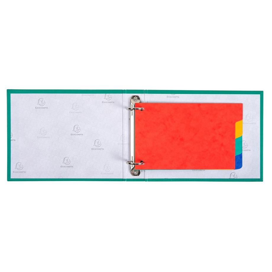 Exacompta Intercalaires pour fiches bristol carte lustrée 225g/m2 4 positions - 100x150mm - x 10  