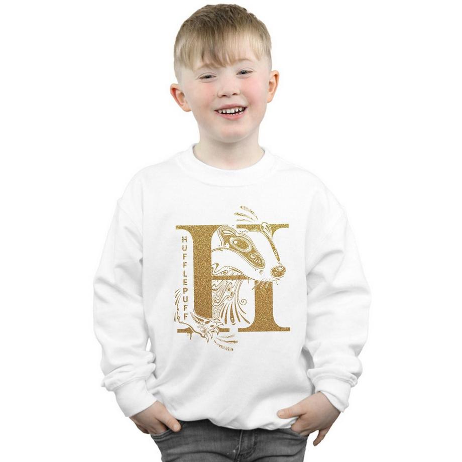 Harry Potter  Hufflepuff Sweatshirt 