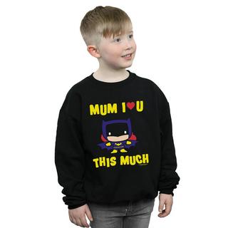 DC COMICS  Mum I Love You This Much Sweatshirt 