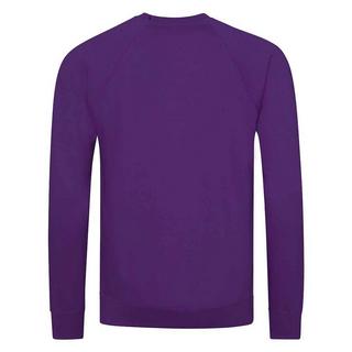 AWDis  Academy Sweatshirt  Raglanärmel 