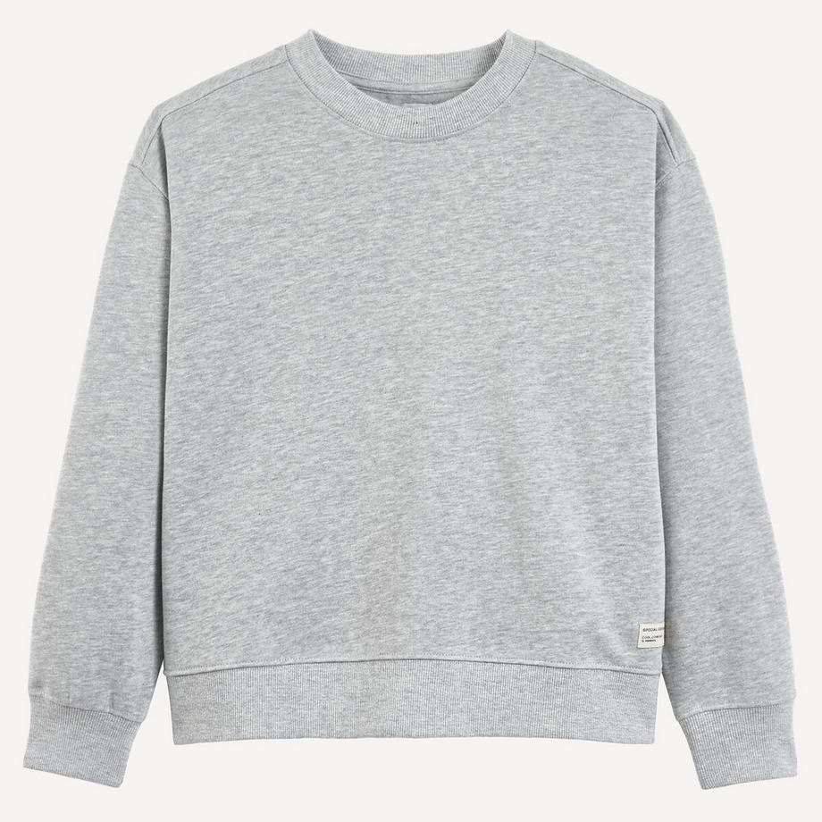 Sweatshirt mit Rundhalsausschnitt