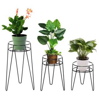 Northio Lot De 3 Supports De Fleurs En Métal Pour Pots De Fleurs Jusqu'À 16 Cm De Diamètre Noir  