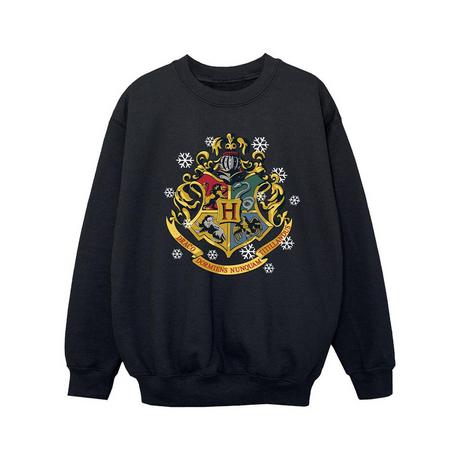 Harry Potter  Sweatshirt 