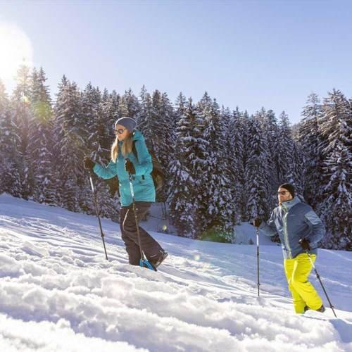 Geschenkidee  Schneeschuhtour inkl.  Fondue und kurze Schlittelabfahrt (für 1 Person) 