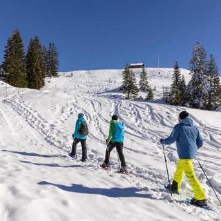 Geschenkidee  Schneeschuhtour inkl.  Fondue und kurze Schlittelabfahrt (für 1 Person) 
