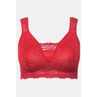 Ulla Popken  Bralette di pizzo senza ferretto con coppa B-F 