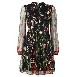 Joe Browns  Floral besticktes Mesh-Minikleid 