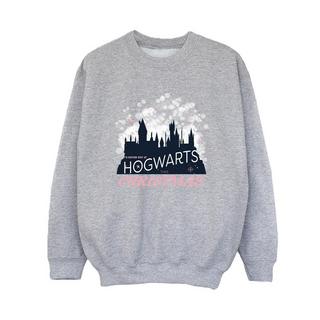 Harry Potter  Hogwarts Sweatshirt 