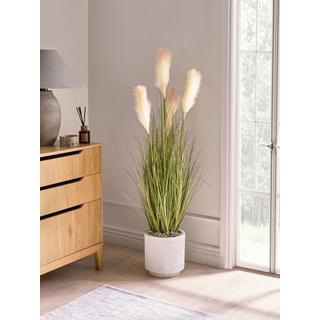 Beliani Plante artificielle en Matière synthétique PAMPAS GRASS  