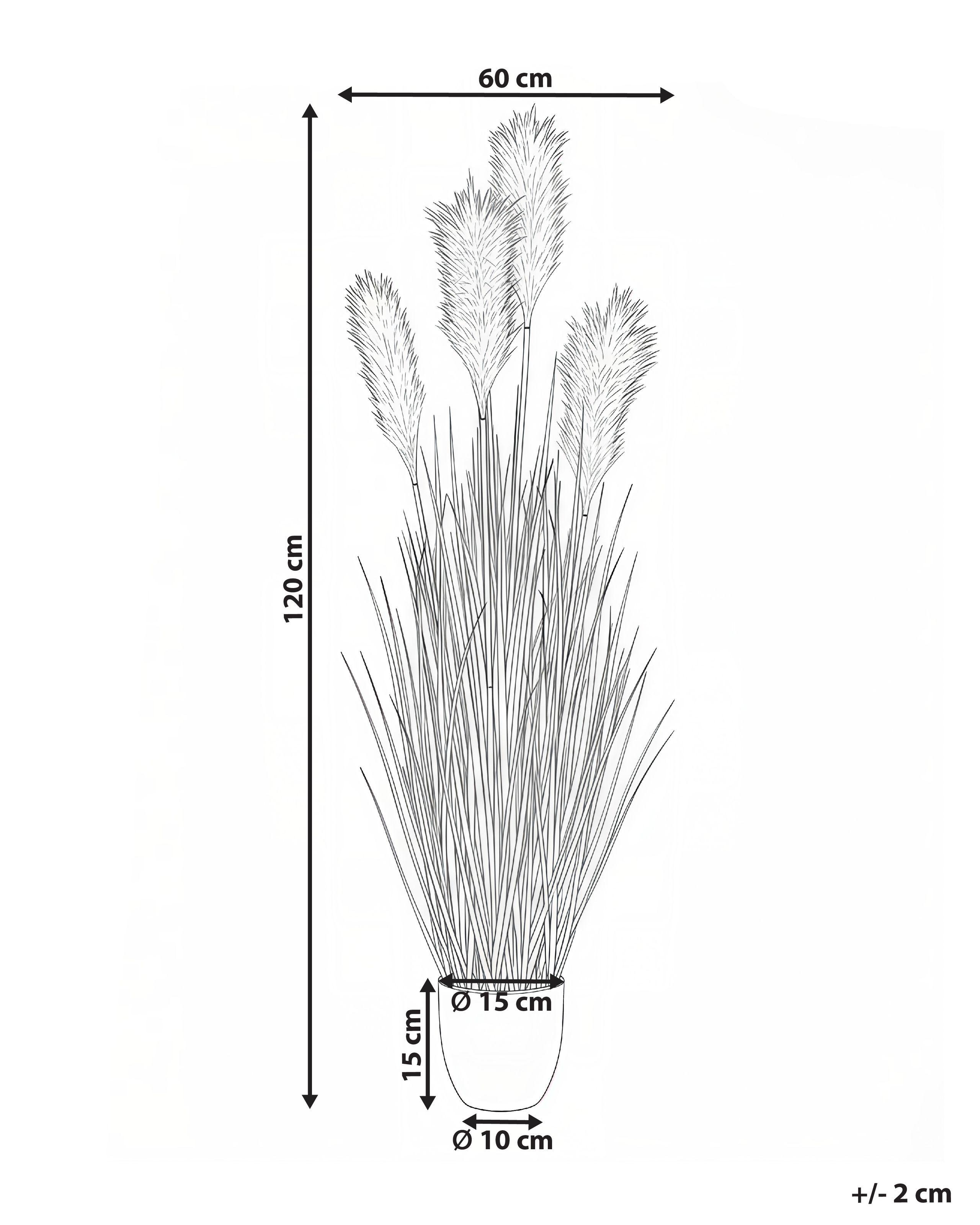 Beliani Plante artificielle en Matière synthétique PAMPAS GRASS  