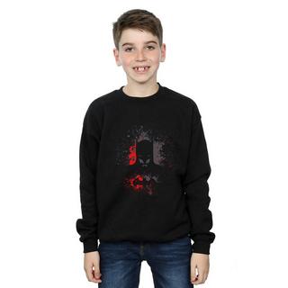 DC COMICS  Sweatshirt 