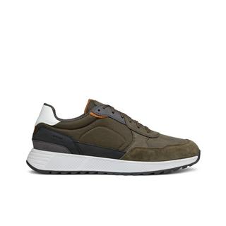 GEOX  sneakers molveno 