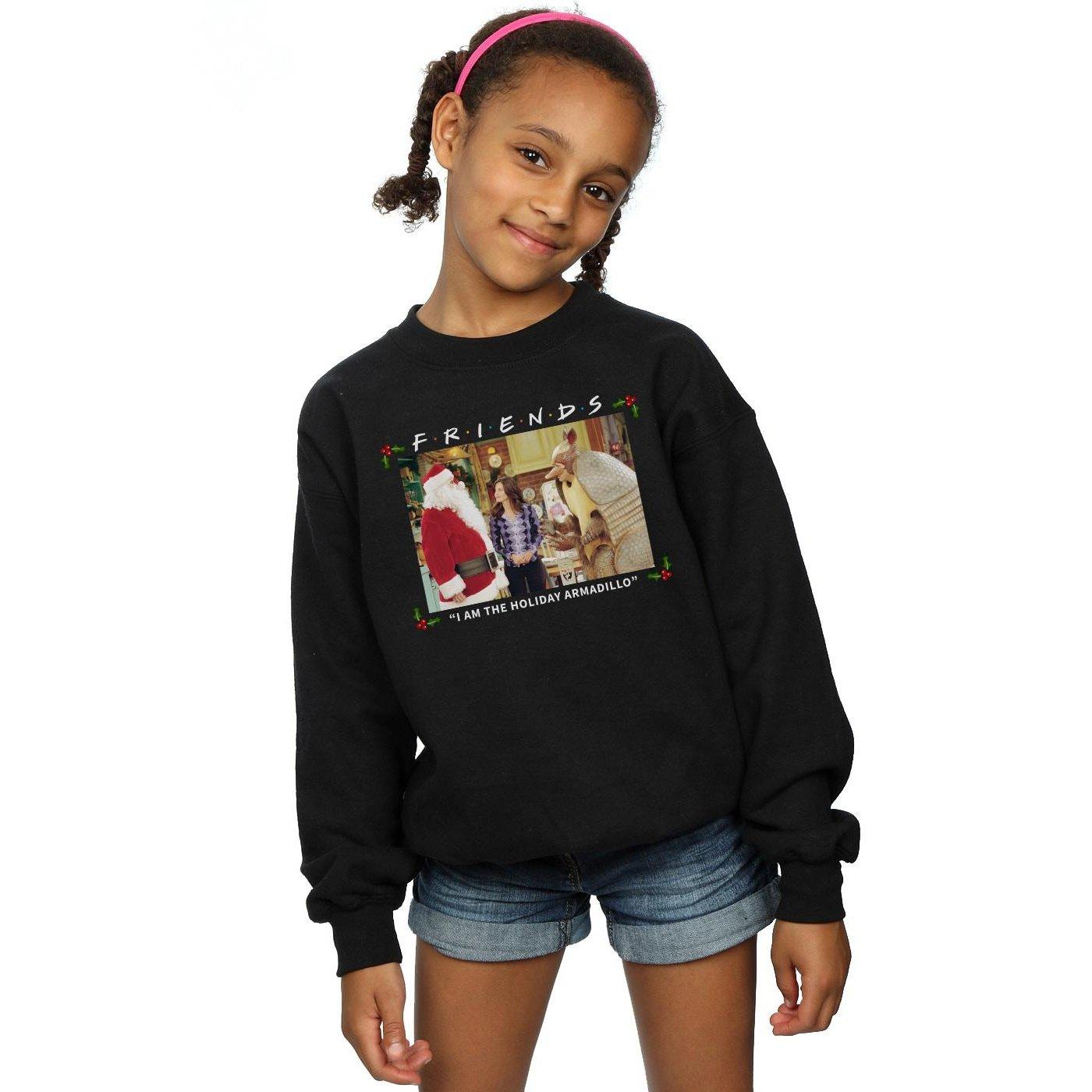 Friends  I Am The Holiday Armadillo Sweatshirt 